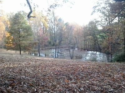 November_12_2014_054