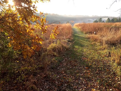 Img_20191105_071904489