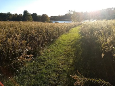 Img_20181024_172301587