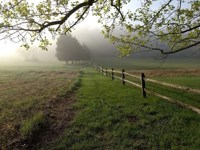 Img_20200425_074744511