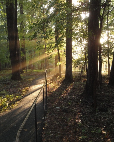 September_morning_path_to_lodge
