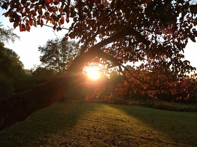 Img_20201007_073740916