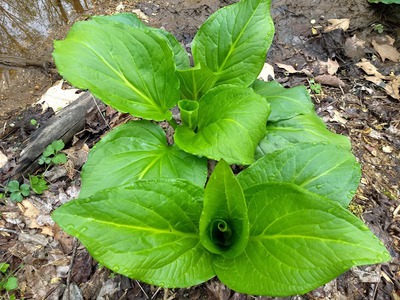 Img_20210414_082228593