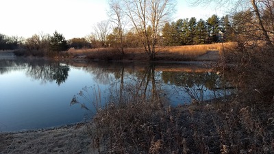 Img_20211220_080844745