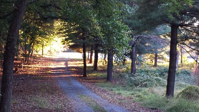 20171002_073110