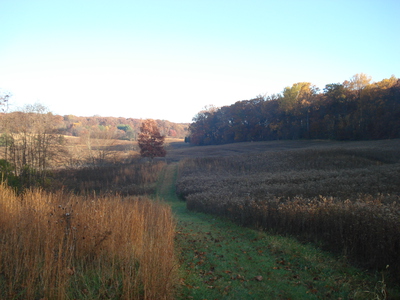 Autumn_fields